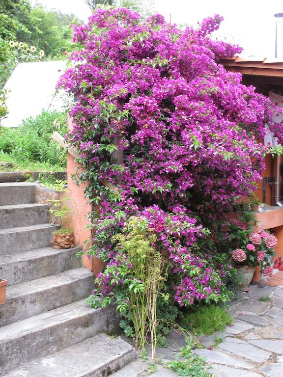 Casa Rural Enkartada Sopuerta Exterior foto